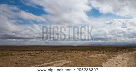 Serengeti landscape of grassland in dry season, Tanzania