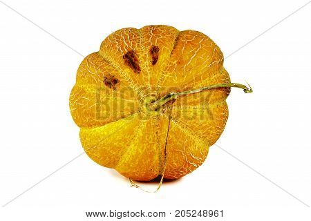 Melon Isolated On White Clipping Path