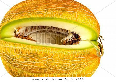 Melon Isolated On White Clipping Path