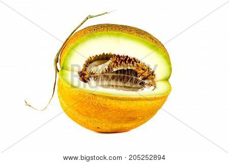 Melon Isolated On White Clipping Path
