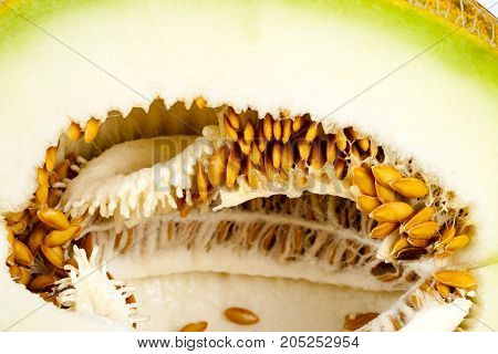 Melon Isolated On White Clipping Path