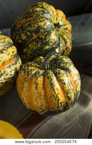 Raw Orange Conffeti Acorn Squash