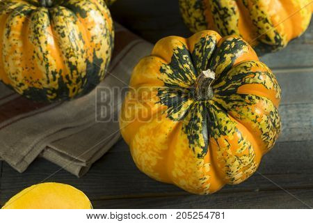 Raw Orange Conffeti Acorn Squash