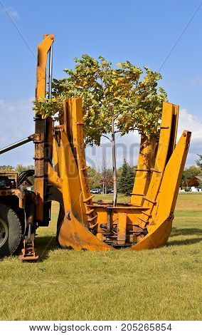 The mounted spade, jaws, and bucket are part of a tree removal  and transplanting machine and is lifting the jaws after dropping the tree into a hole