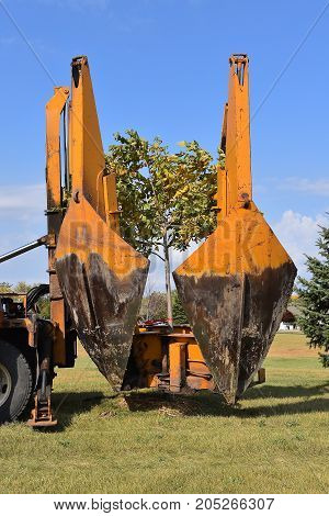 The mounted spade, jaws, and bucket are part of a tree removal  and transplanting machine and is lifting the jaws after dropping the tree into a hole.