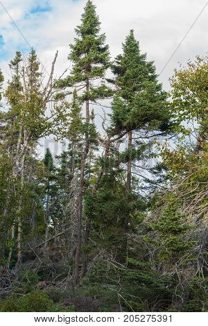Pukaskwa