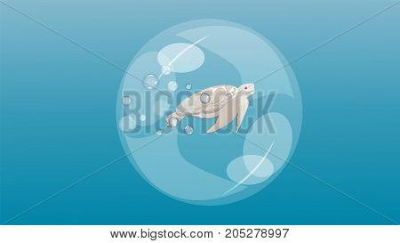 a turtle in a bubble underwater scene