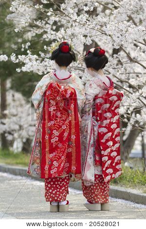 Geiko & Sakura