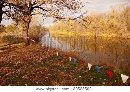 Autumn etude on the bank of a small reservoir