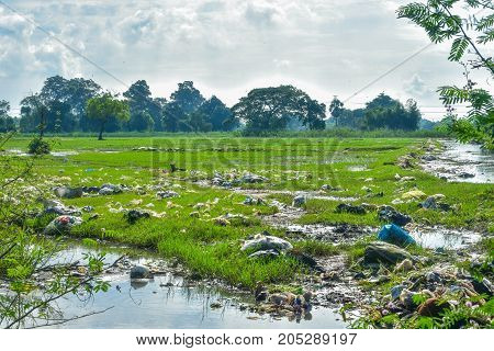 Garbage bags were flooded And the floods spread widely.
