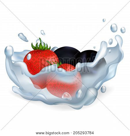Fresh ripe strawberries and blueberries drop in pure water with big splash isolated vector illusration on white background.