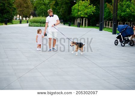 Dad with a little daughter walking a dog in the park. The baby is holding a nice beagle on a leash. Warm summer day.