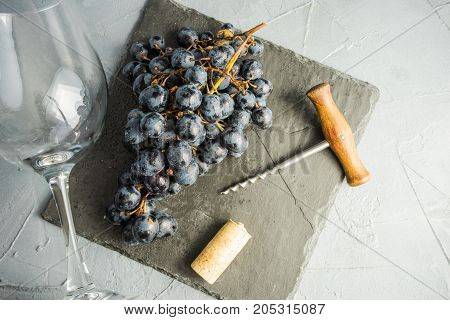 Organic Food Concept