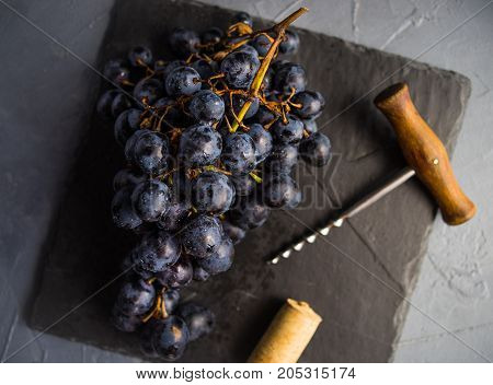 Organic Food Concept