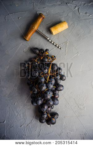 Organic Food Concept