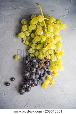 Organic Food Concept