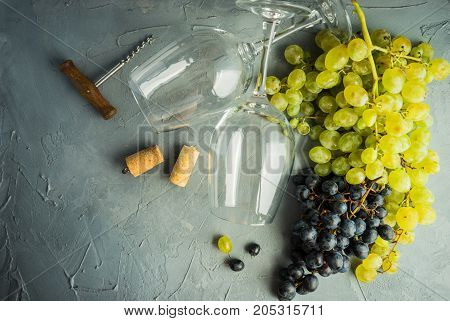 Organic Food Concept