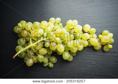 Organic Food Concept
