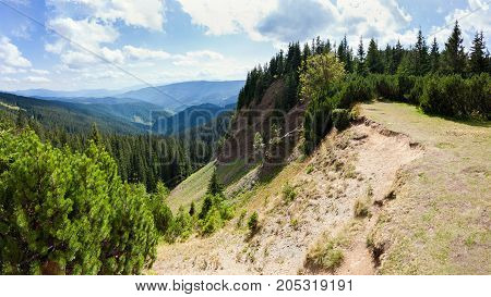 Carpathians coniferous forest on the tourist route