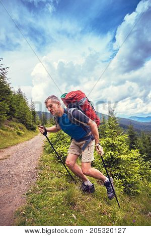 Hiking in the mountains with a backpack in the summer.