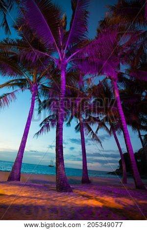 Illuminated palm trees on tropical beach of Thailand