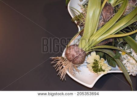 black background. plate of flowers. tulip bulb. foliage background