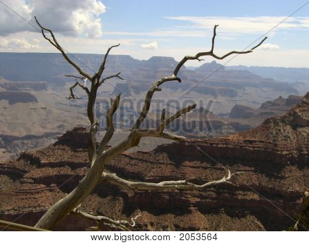 Grand Canyon Lonelyness
