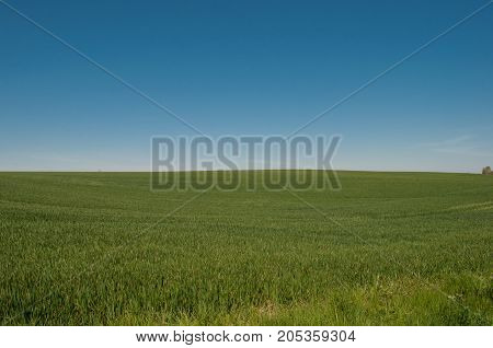 Antonihoejen hill near Praestoe in Denmark on a summer day