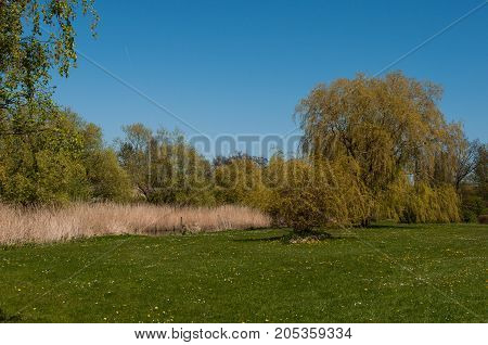 Park In The Town Of Praesto In Denmark