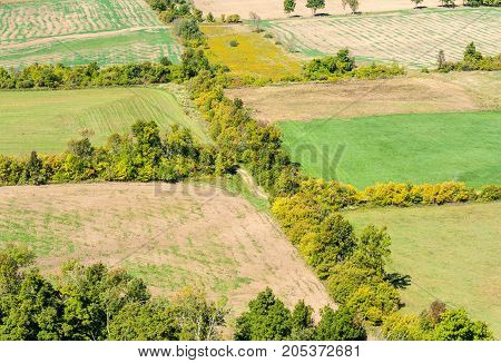 Lines of trees and shrubs bordering empty farm fields in early autumn viewed from above in rural Ontario Canada.