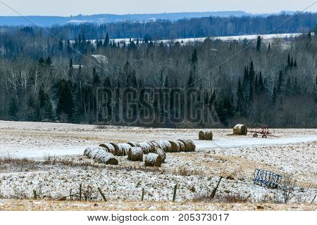 Wisconsin farmland with round bales of hay in winter
