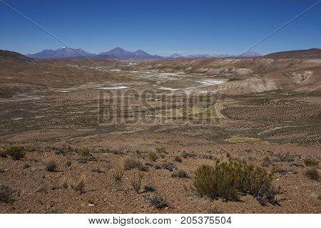 Wide valley of the Lauca River high on the Altiplano of northern Chile in Lauca National Park.