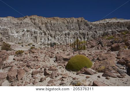 Eroded rock formations along Quebrada Chuba, a river valley high on the Altiplano of northern Chile in Lauca National Park.