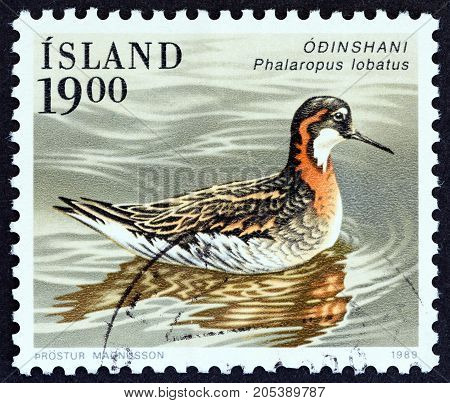 ICELAND - CIRCA 1989: A stamp printed in Iceland from the 