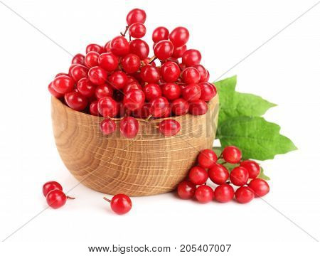 Viburnum berries with leaves isolated on white background.