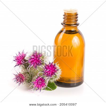 burdock oil in glass bottle and burdock flowers isolated on white background.