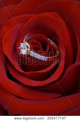 Big ring for engagement with zircons as a suprise for woman suitable as a portrait or background for wedding annoucement