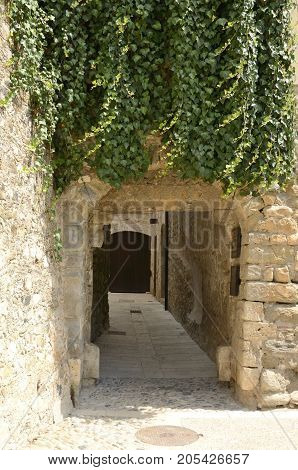 Ivy on wall at an arch gate in an alley of Besalu a town in the comarca of Garrotxa in Girona Catalonia Spain.