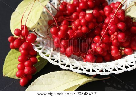 schizandra and leaves on the plate on the dark background
