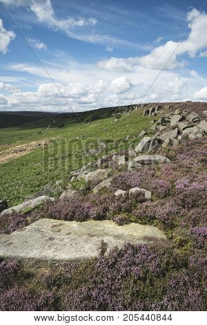 Beautiful Vibrant Landscape Image Of Burbage Edge And Rocks In Summer In Peak District England
