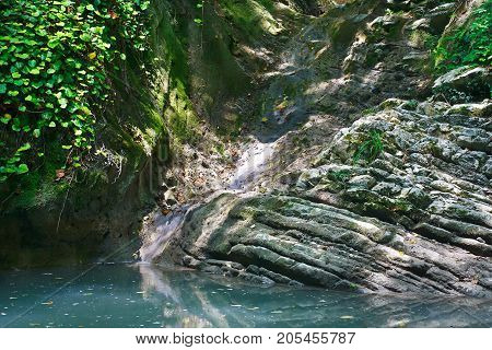 Small streamlet feeding a lake with stagnant water among the jungle forests