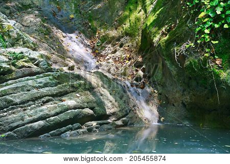 Small streamlet flowing into a lake with stagnant water among the jungle