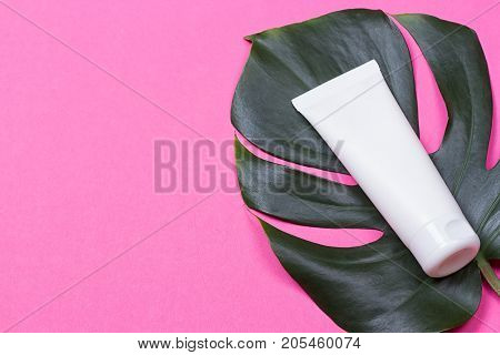 Cosmetic bottle containers with green herbal leaves on the pink background