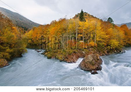 tourism, trekking, environmnetal protection. two flows of different riveres are connecting and mixing up in wild, very rapid one, that is washing over stony banks with yellow forests