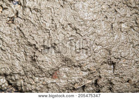 Background of the fresh cement solution . Photo of an abstract texture