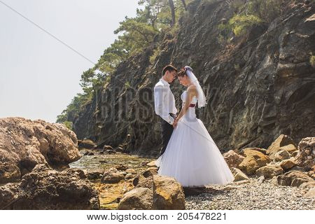 Just married couple embraced on nature. Bride and groom.