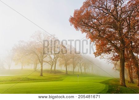 October morning mist. Fog over golf course during beautiful fall sunrise. Silhouettes of autumn trees on a background bright green lawn and colorful tree on a foreground. Horizontal composition.