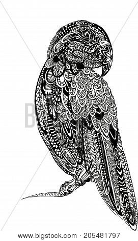 Zentagle Parrot Ink Illustration. Hand drawn stylized ink painted illustration of a parrot.