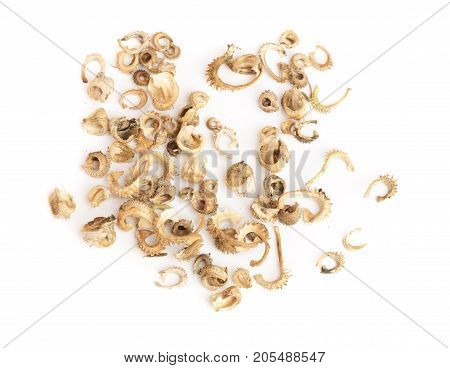 Seeds of common marigold or Calendula officinalis isolated on white background.