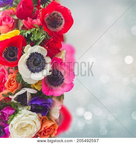 Fresh anemones and roses flowers on gray boke background